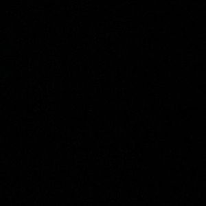 Meet your Posher, Bella